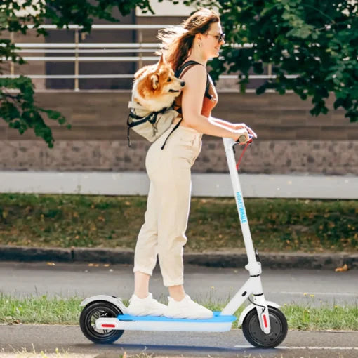Patín Eléctrico Honey Whale S2 V2 – Blanco
