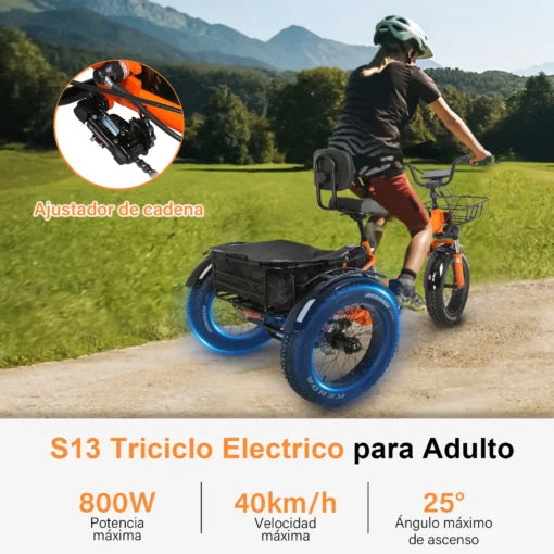 Bicicleta Eléctrica de 3 Ruedas Honey Whale S13
