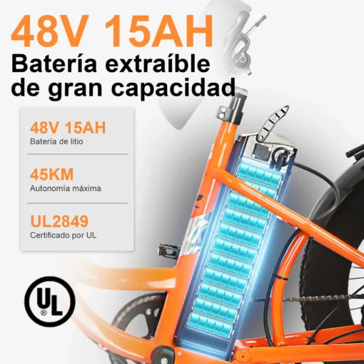 Bicicleta Eléctrica de 3 Ruedas Honey Whale S13