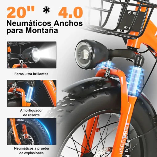 Bicicleta Eléctrica de 3 Ruedas Honey Whale S13