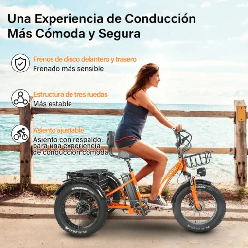 Bicicleta Eléctrica de 3 Ruedas Honey Whale S13