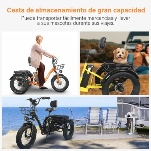 Bicicleta Eléctrica de 3 Ruedas Honey Whale S13