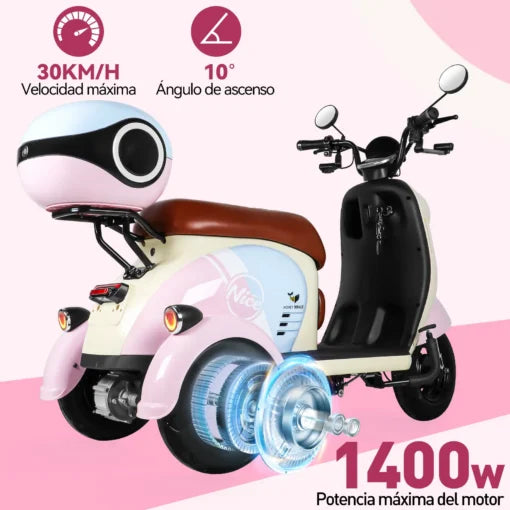 Motobici Eléctrica de 3 Ruedas Honey Whale V1