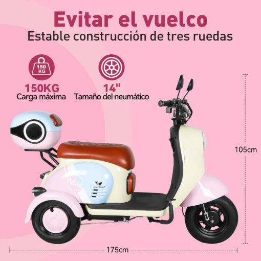 Motobici Eléctrica de 3 Ruedas Honey Whale V1